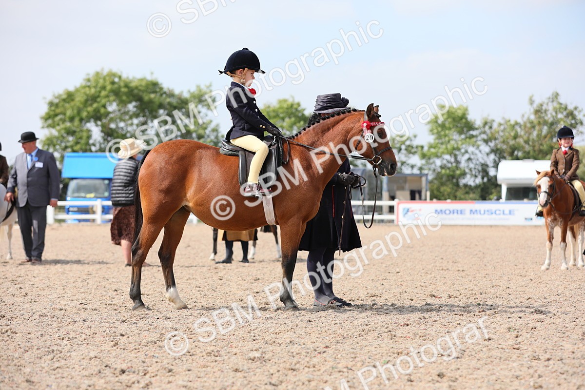 SBM_14051 - Class 309 Lead Rein Pony