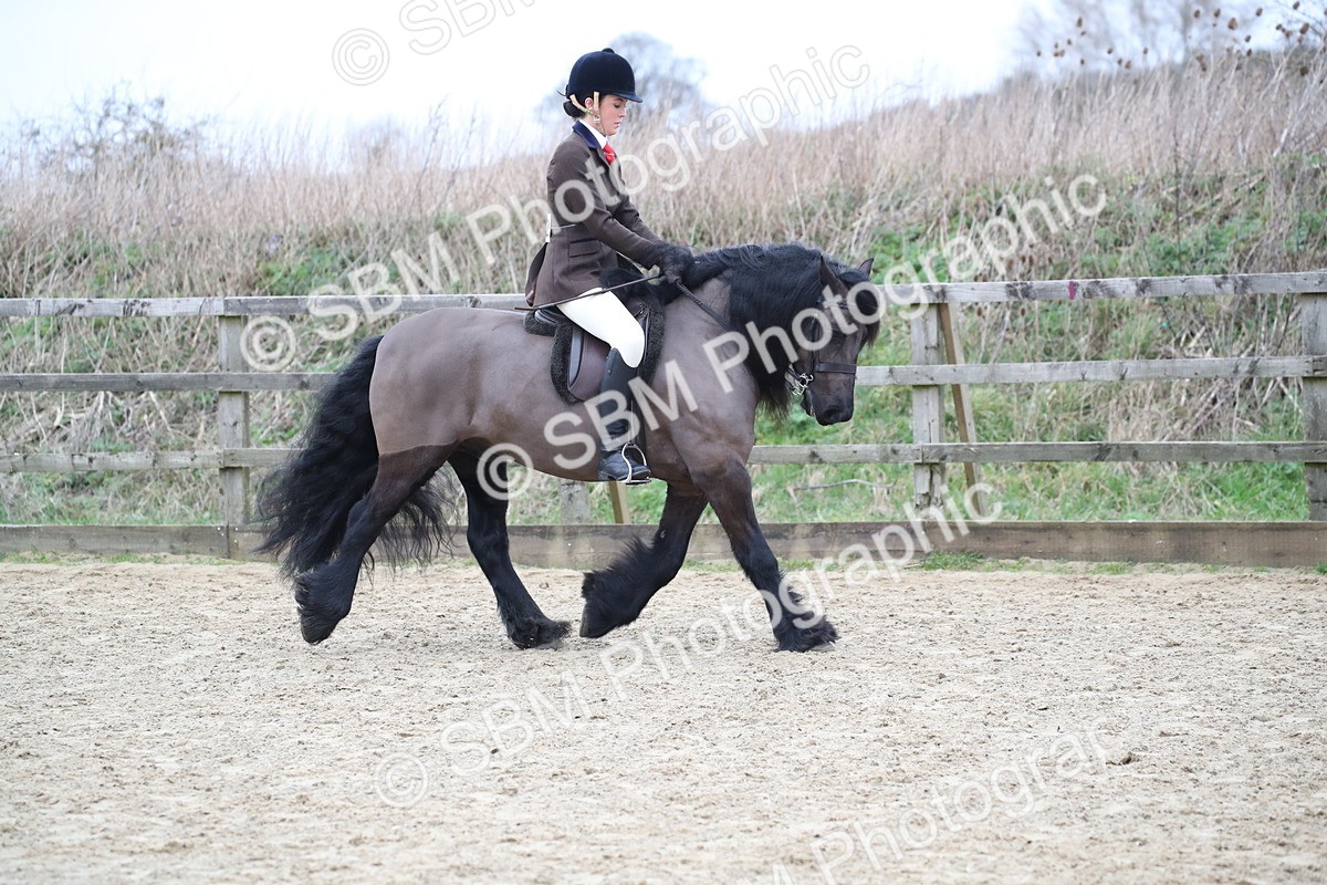 SBM_006293 - Class 10-13 - RIHS Small Large Breeds