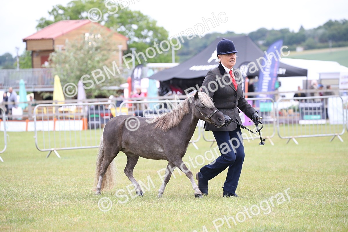 SBM_03942 - Class 23-25 - British Miniature Horse of the Year