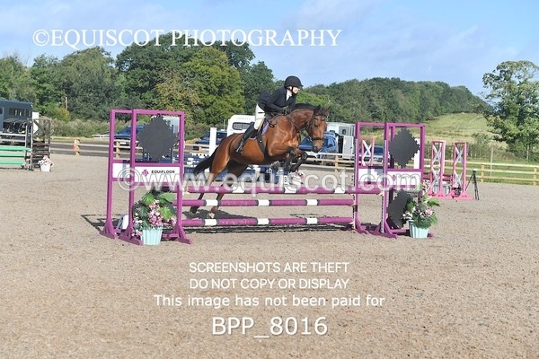 BPP_8016 - CLASS 31 SUN Club/ Unaffiliated 80cms Open