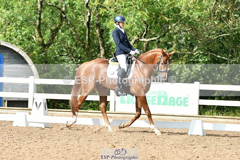 230912A-152120-01549 - Cls 13 Adv Medium 91