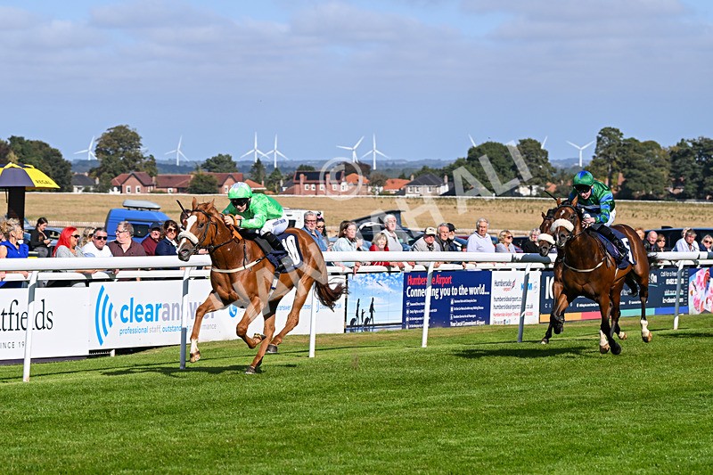 180924-Race 3-Beaujolais Nouveau-4242 - Race 3