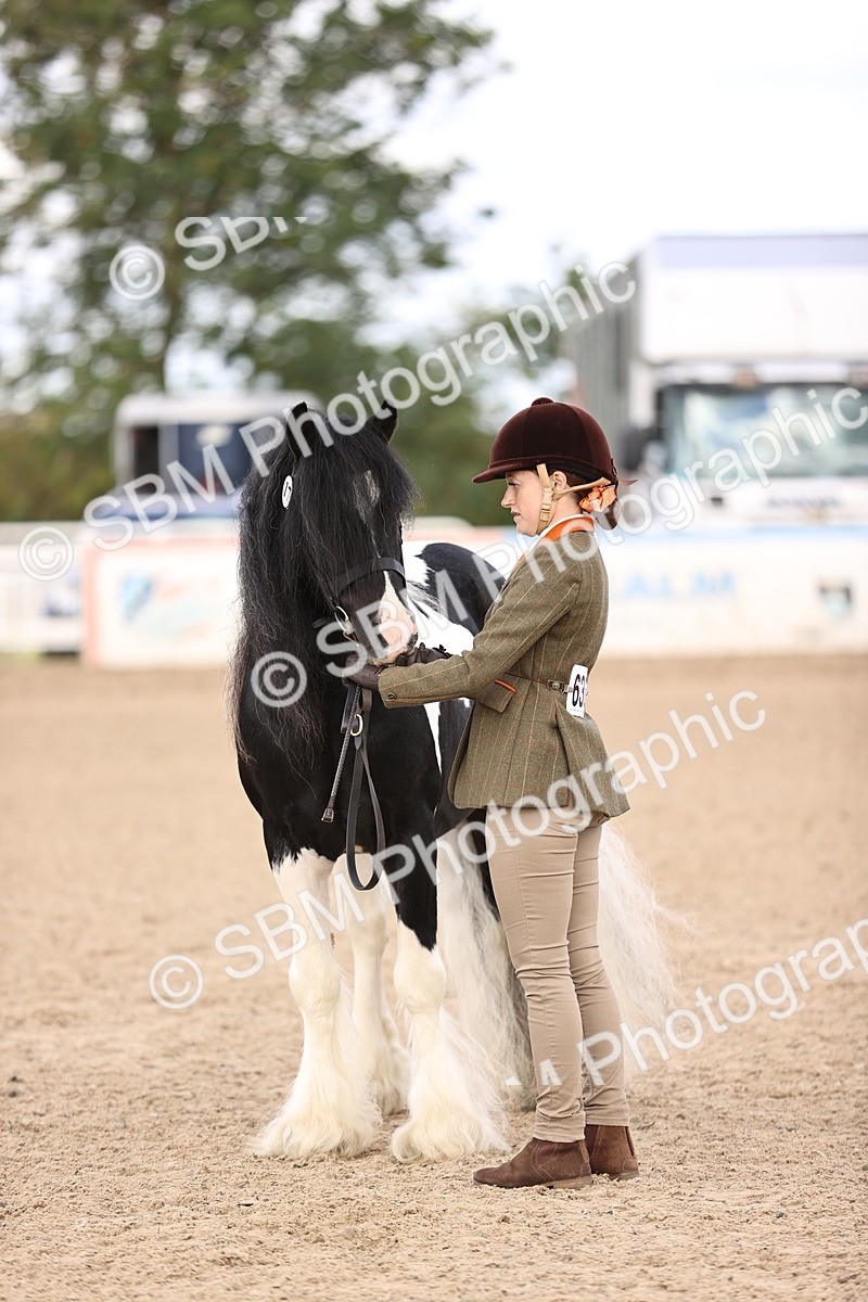 SBM_09316 - Class 404 - IH Traditional - Native Cob
