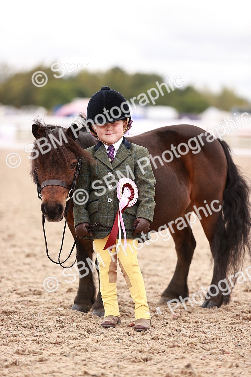 SBM_18615 - Class 421 - Childs Best Friend - Jnr