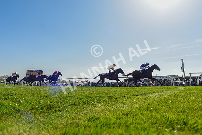 080426-Race 4-Evocative Spark-0031 - Race 4