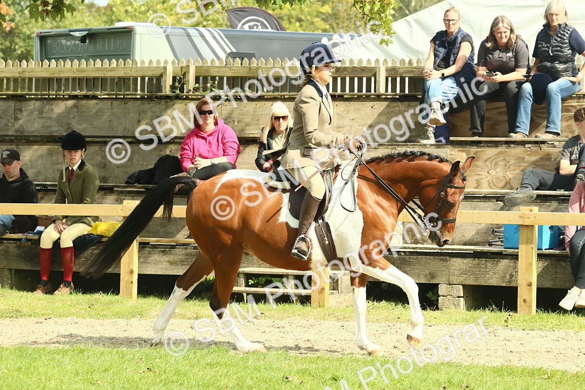 SBM_67500 - S56 - Coloured Pony Ridden