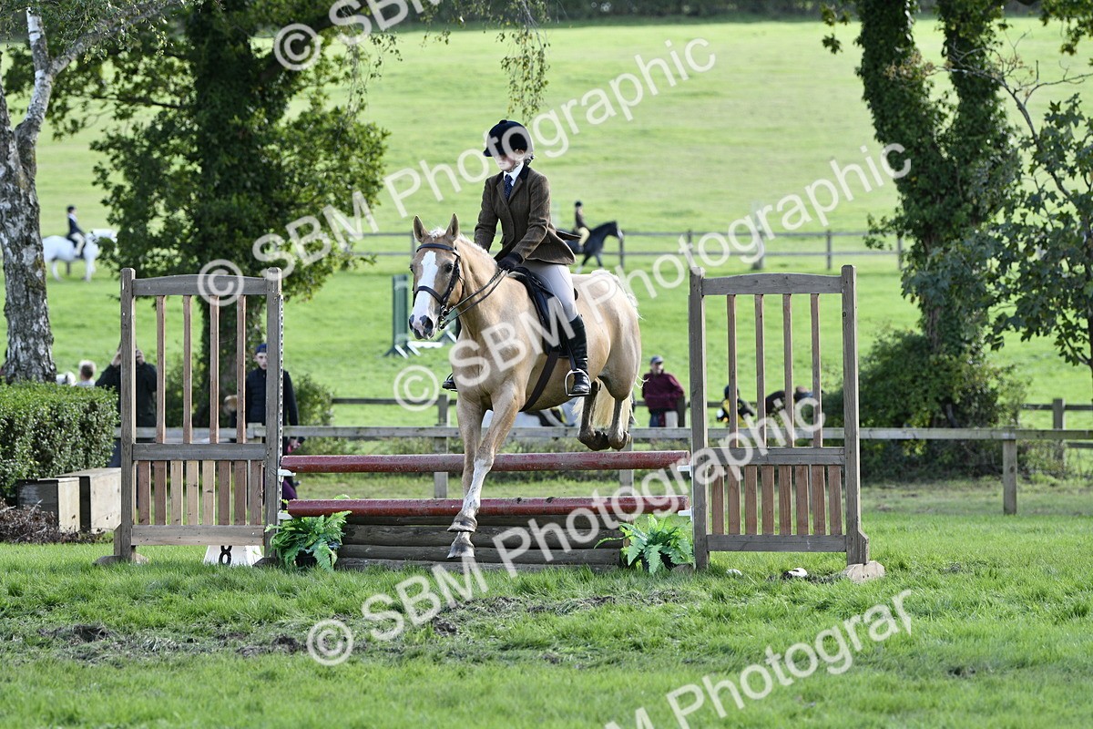 SBM_49959 - S34 - Novice & Newcomers Working Hunter