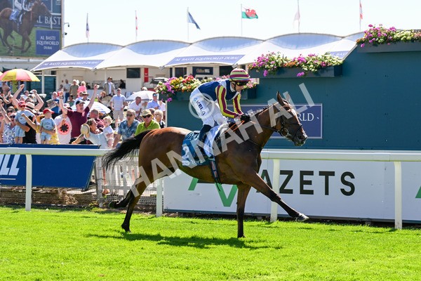 110725-Race 4-Dain Ma Nut In-0350 - Race 4 3.55pm Azets Handicap