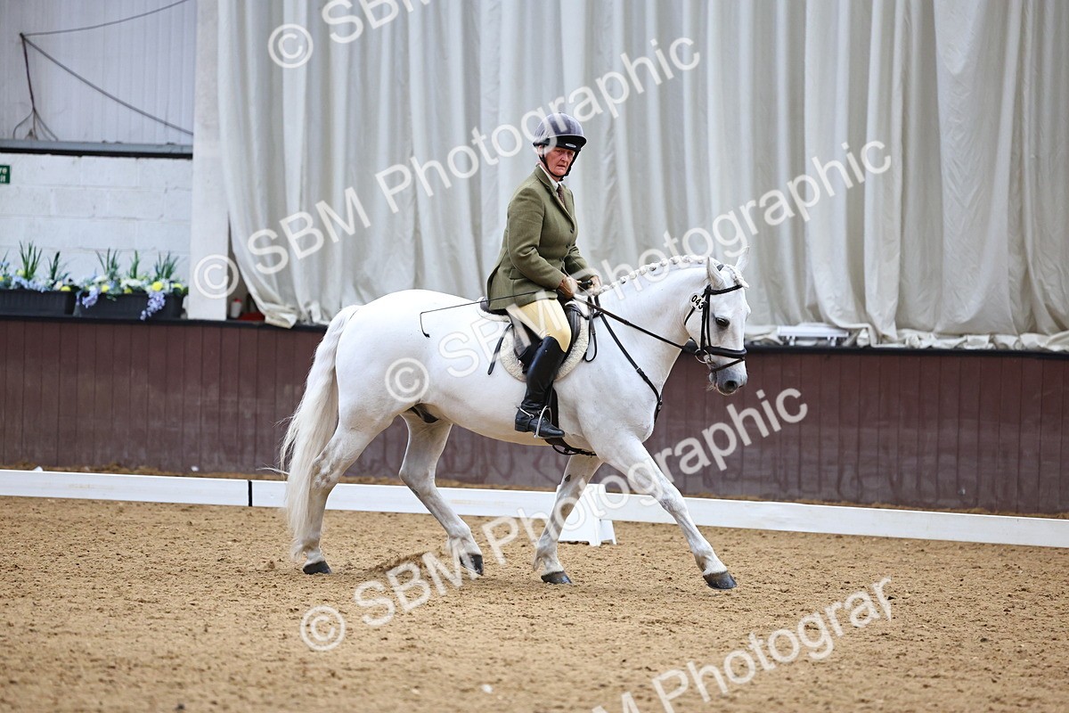 SBM_005458 - Elementary 2