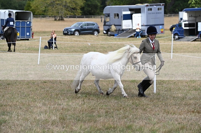 WJ6_5946 - Class 19 In-hand Veterans (Uploaded correct folder)