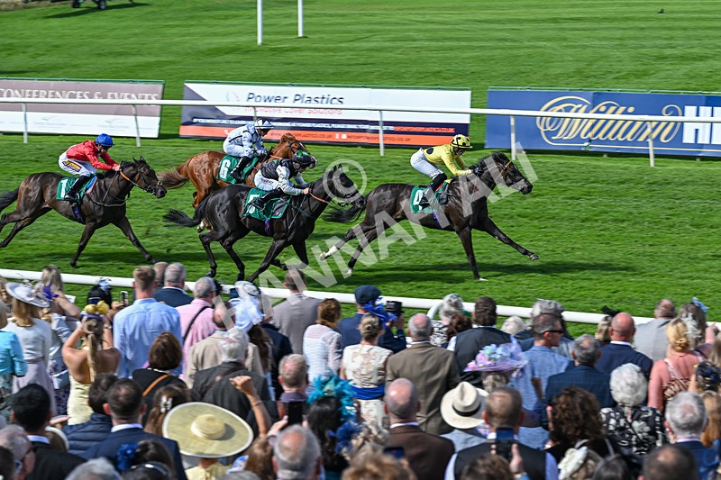 050926-Race 2-This Moment-2797 - Race 2 2.05pm JW4X4 Northallerton Nursery Handicap