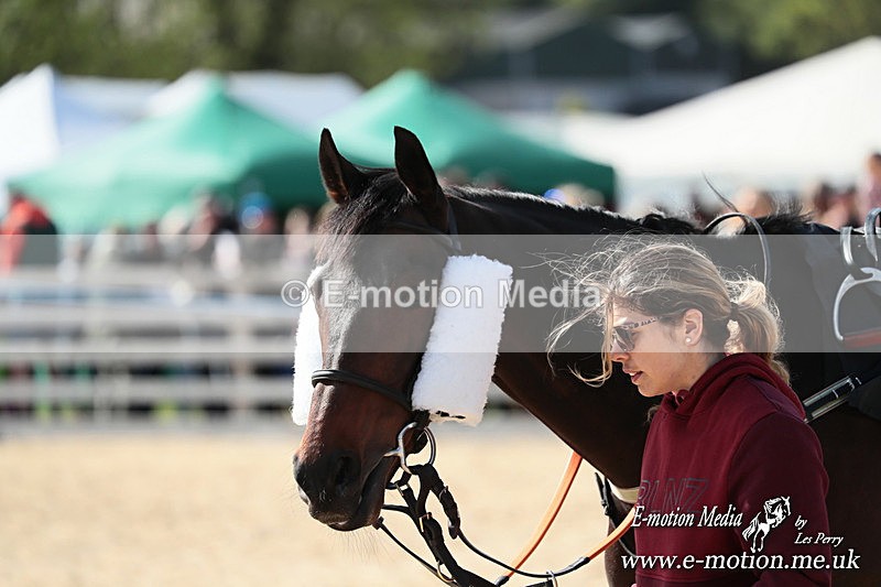 PtP 050525 344 - Mollington Races 05/05/25
