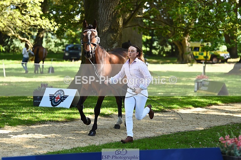 230524-152824-00288 - 379-QUIZICAL_Z-Alice_Hallows-WEDTrotUp+DR