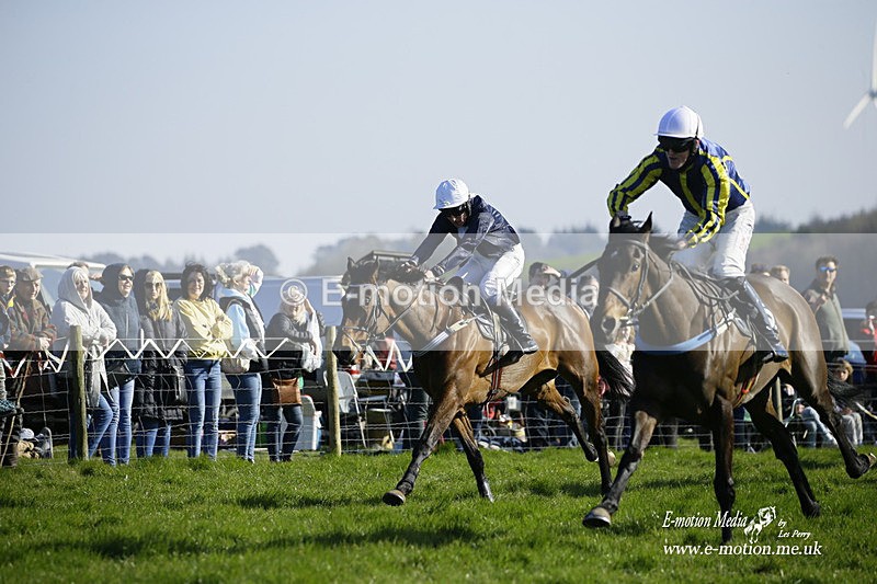 PtP 190322 733 - Wilton Hunt PtP Milborne St Andrew 19/03/22