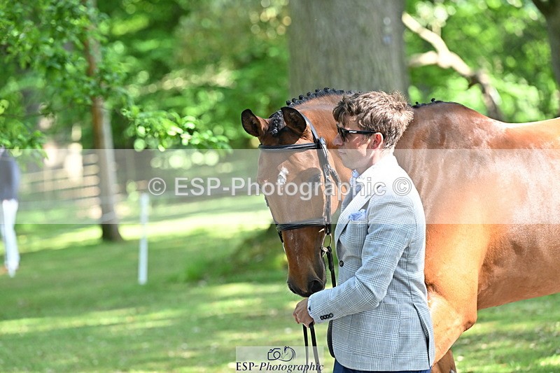 250521A-154502-00734 - B-363-Tom.D.Crisp-BLS.ABSOLUTELY