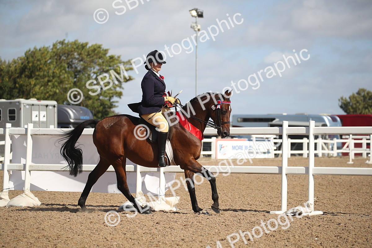 SBM_22883 - Class 602 - 2026 Area - Ridden Veteran