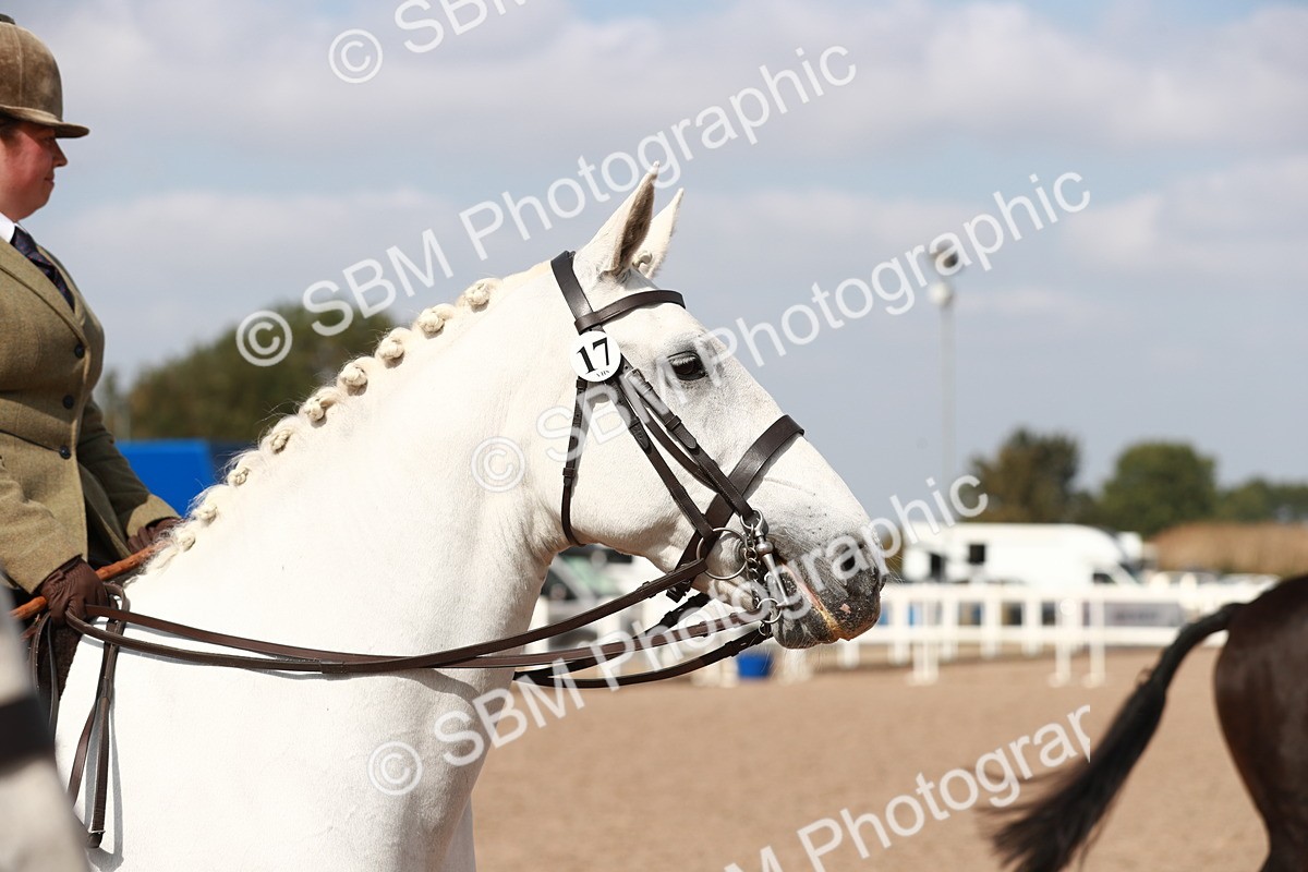 SBM_14895 - Class 212 Ridden Hunter - Small