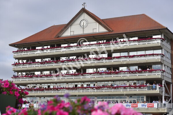 yr23072021r2-17 - Race 2 6.30pm IRE-Incentive It Pays To Buy Irish Stakes