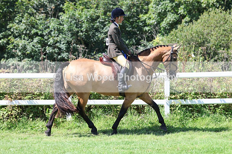 3E7A9116 - Working Hunter Championship