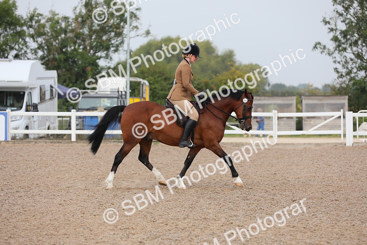 SBM_09980 - Class 302 Ridden M&M -Large Breeds