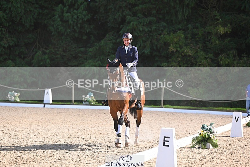 240809-163651-02444 - Novice Gold