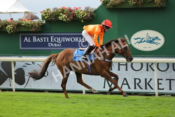 yr04092022p2-45 - 12.50pm. 148cm Open Pony Race