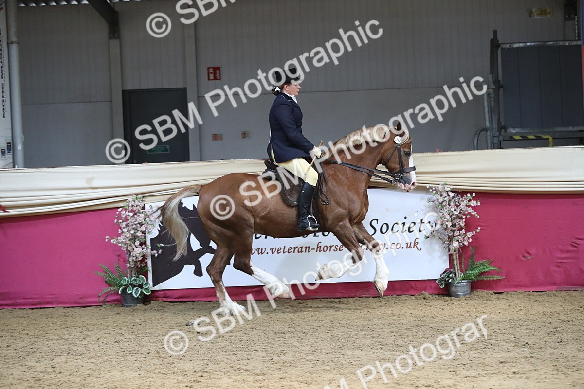 SBM_16326 - Class 502 M&M Ridden Supreme Final