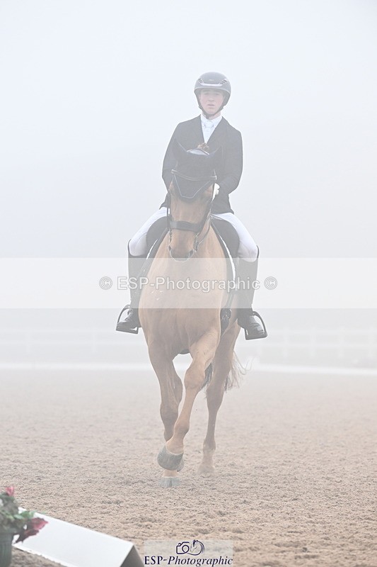 240217A-131240-02772 - 271-Tom.Carter-Rubin.Regal