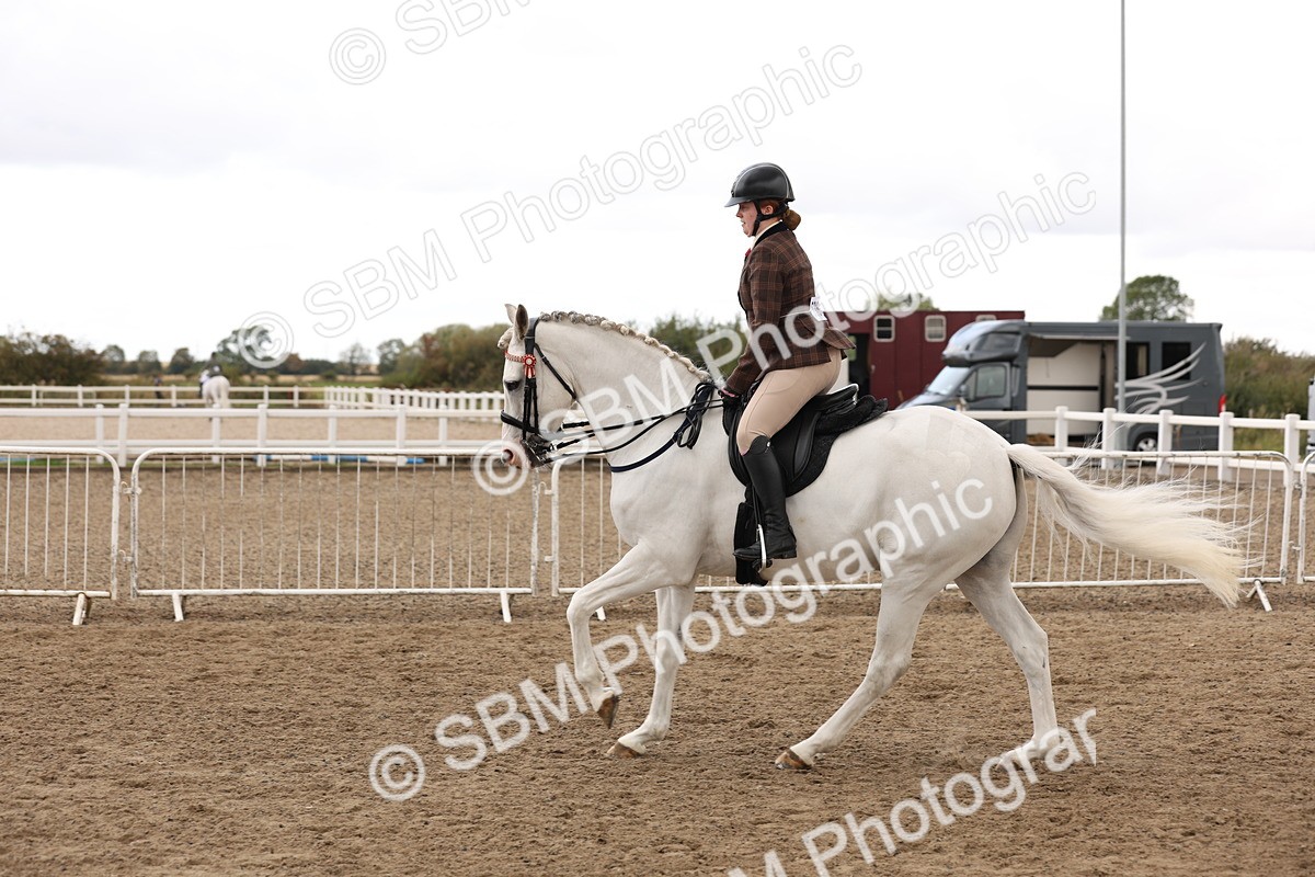 SBM_02926 - Class 53 - Ridden Competition Horse/Pony