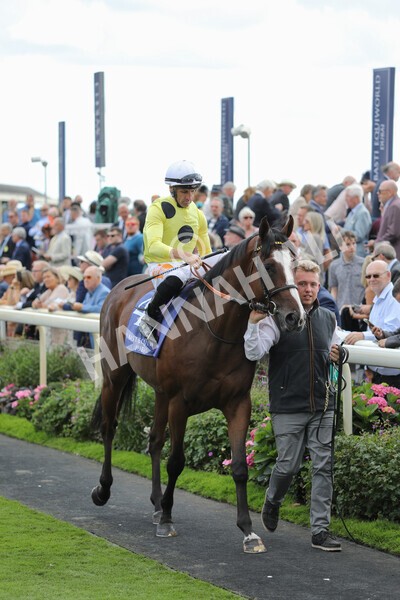 yr19082022r3-8 - Race 3 3.00pm Al Basti Equiworld Dubai Gimcrack Stakes