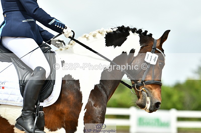 230702A-122702-09618 - Cls 28 Elementary 45