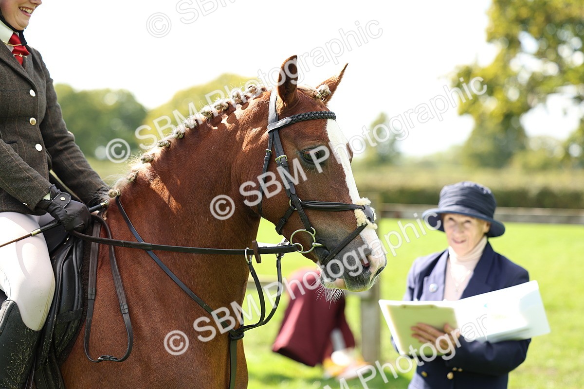 SBM_45418 - S33 - Working Hunter Pony