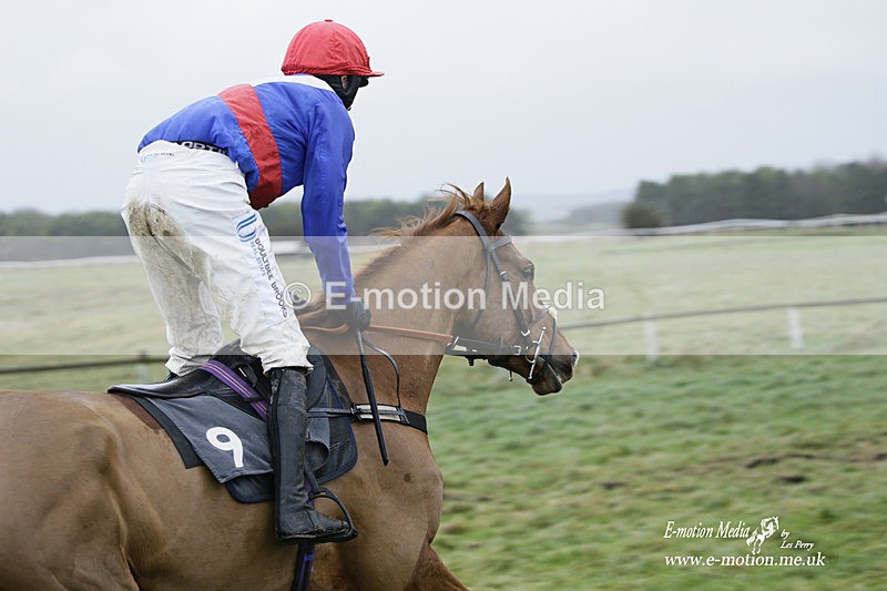PtP 020122 368 - Larkhill Racing Club Point-to-Point 02/01/2022