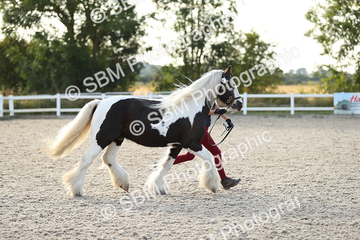 SBM_08901 - Class 29 IH Veteran Pony