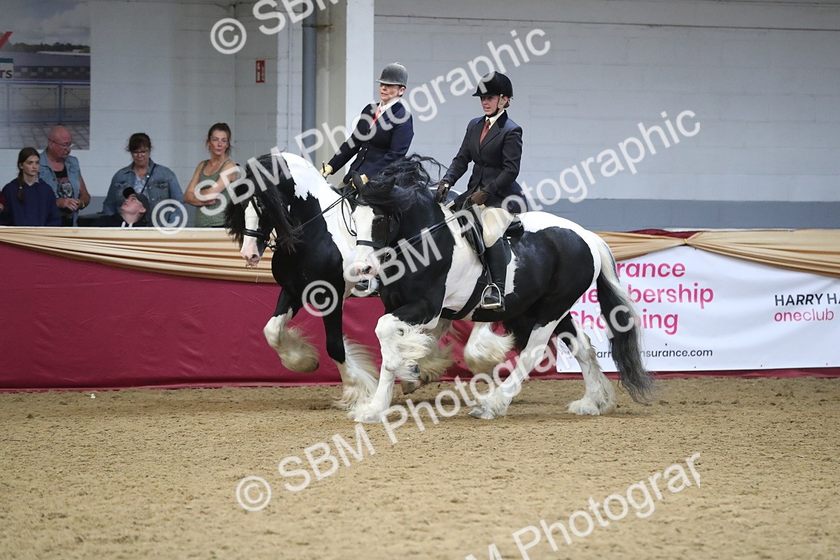 SBM_13673 - Class 109 Ridden Pairs - Section B