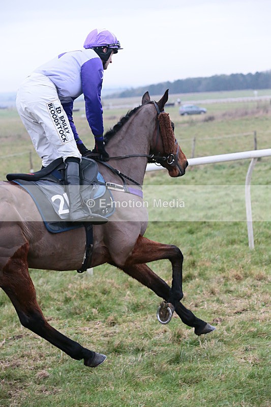 PtP 060119 7 - Larkhill Racing Club - Point-to-Point- 06/01/2019