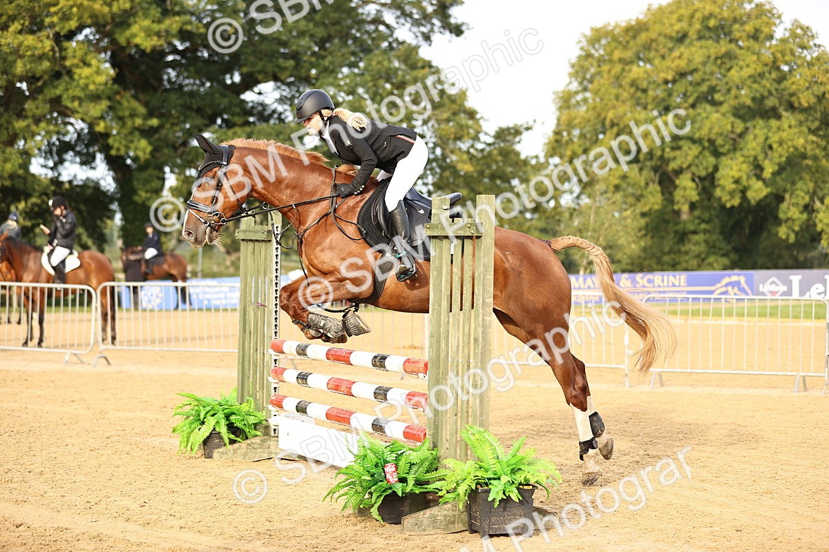 SBM_55136 - J62 - Clear Round 90cm