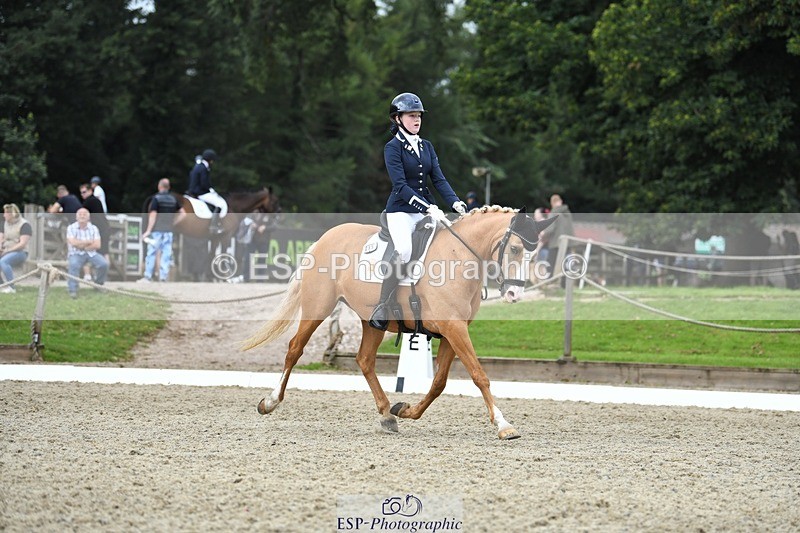 230812-123923-04180 - Cls 6 Novice Silver 12.10 to End