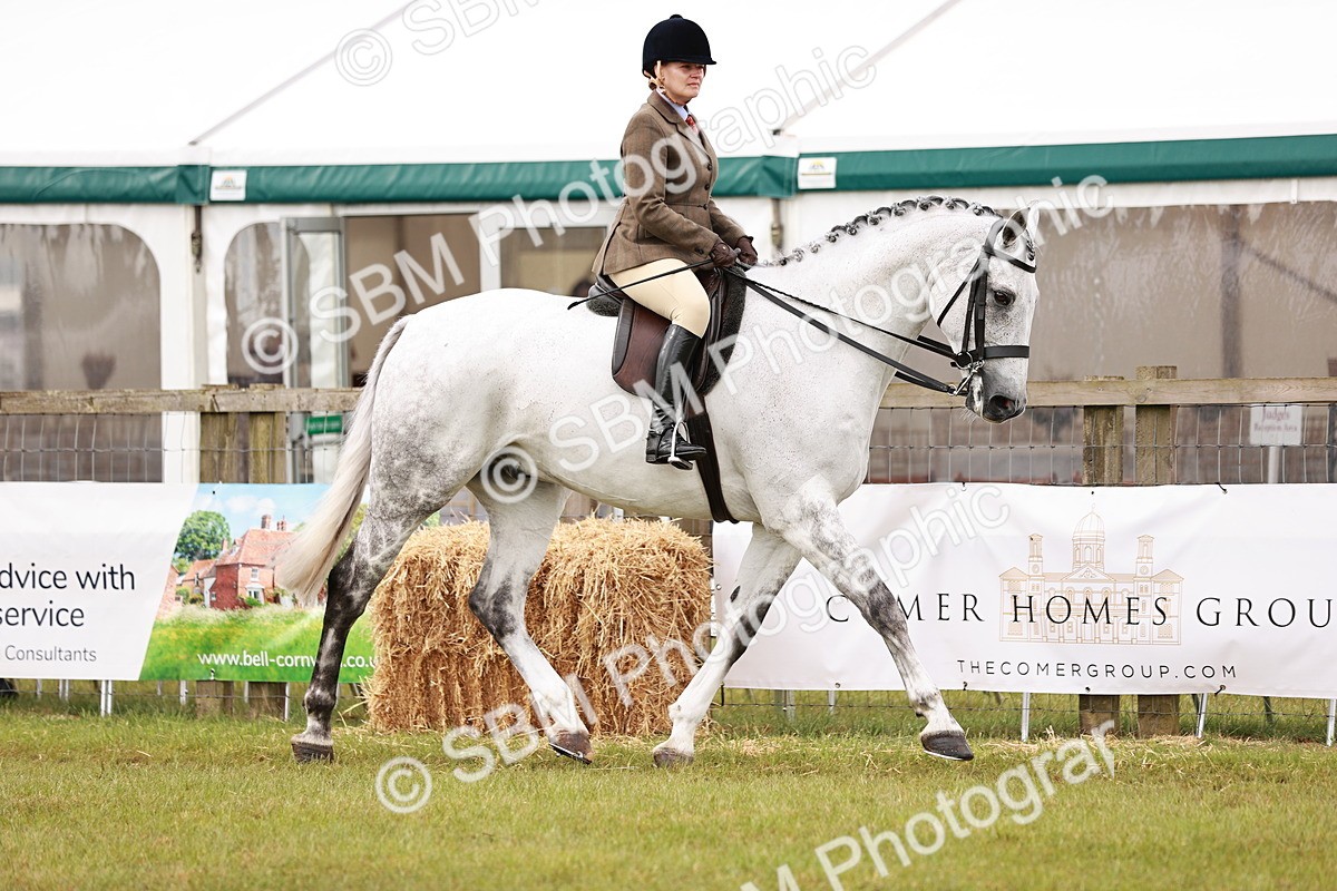 SBM_11535 - Class 81-84 - RIHS Ridden hunters Inc Ladies Hunter