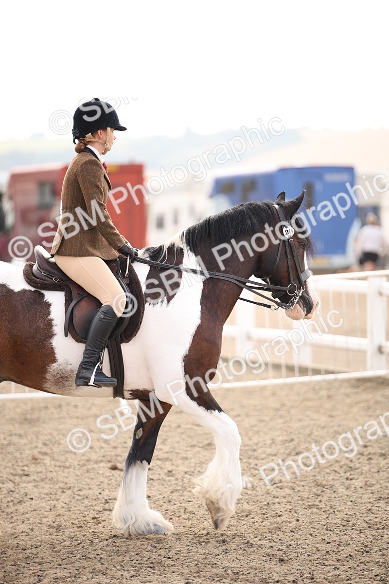 SBM_11682 - Class 404b Junior Working Veteran- 40cm(20+)