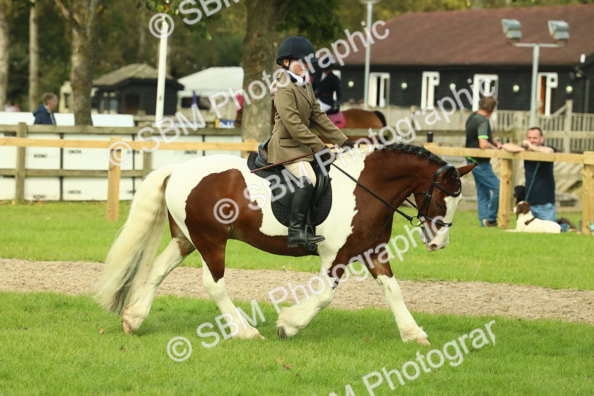 SBM_68229 - S58 - Mini Show Cob Ridden