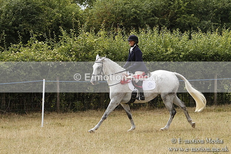 _BS_1036 - Working Hunter Championship BVRC Show 2018