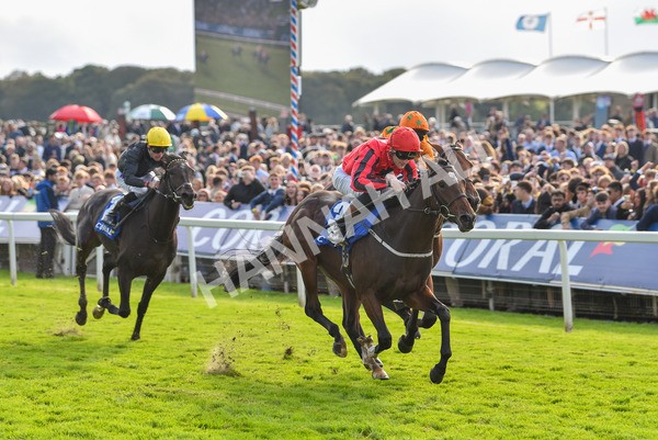 141023-Race 4-Colorada Dancer-1187 - Race 4 3.05pm Coral Racing Club EBF Maiden Stakes