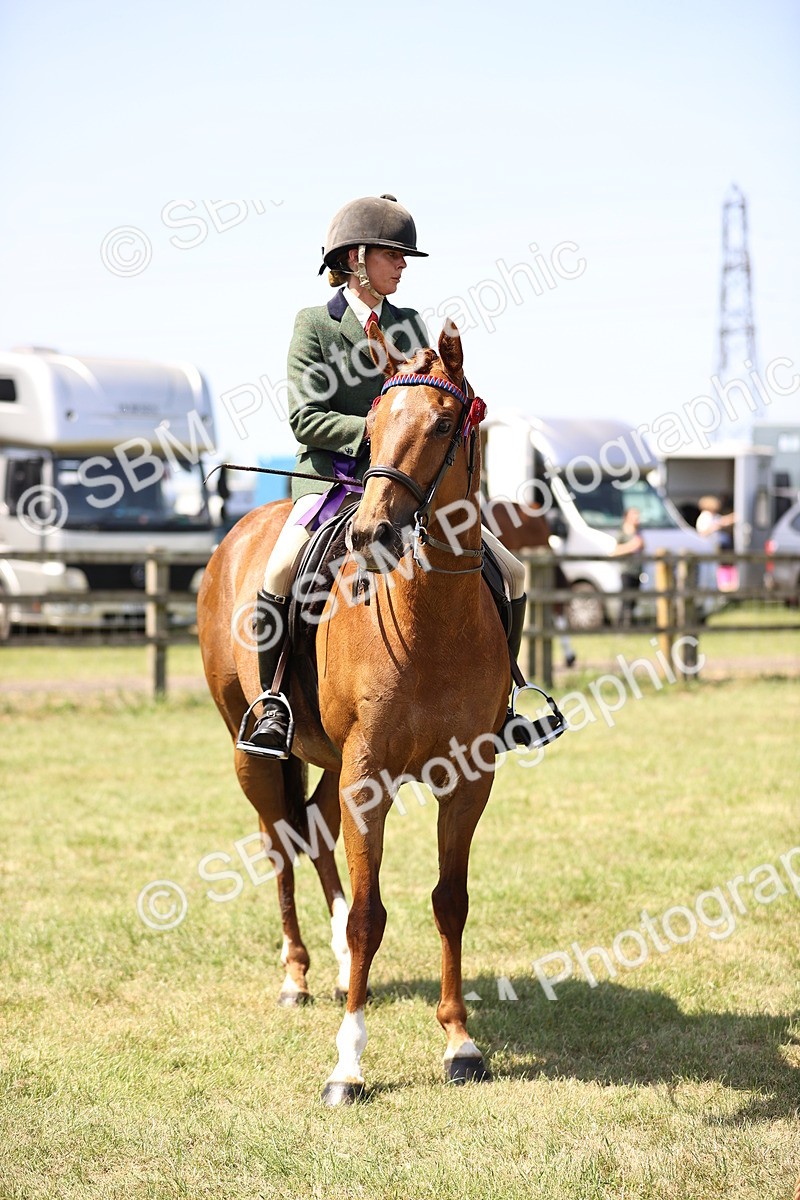 SBM_14997 - Class 78 - LIHS BSHA Open Racehorse & Show Horse