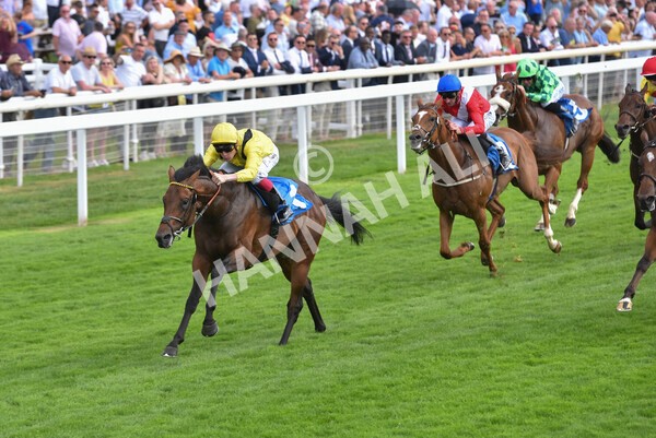 yr08072022r4-25 - Race 4 3.50pm William Hill Pick Your Places Stakes