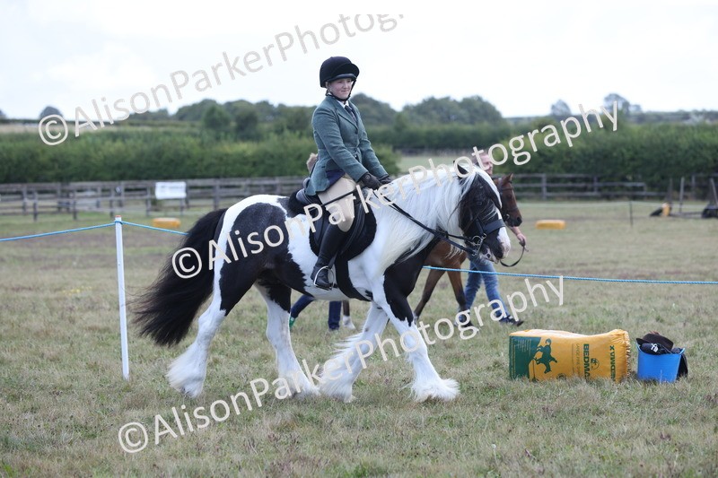 20250831-2393 - Class 16 - Family Pony