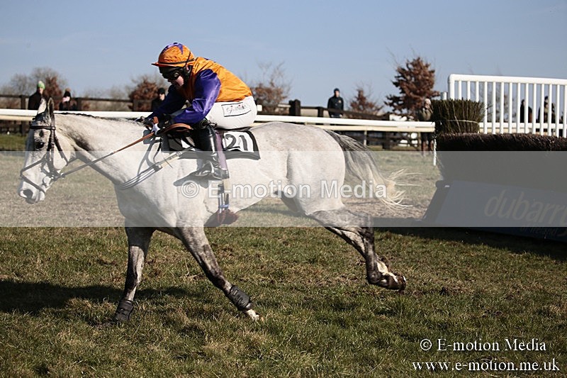 PtP 240218 393 - Vine & Craven Hunt Point-to-Point Barbury racecourse 24/02/18