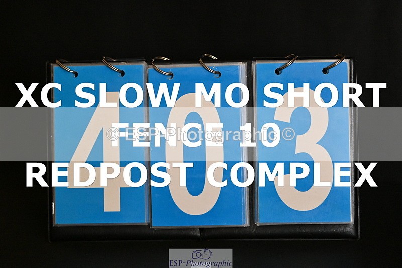 ESP_403 - F-403-Hugo.Moor