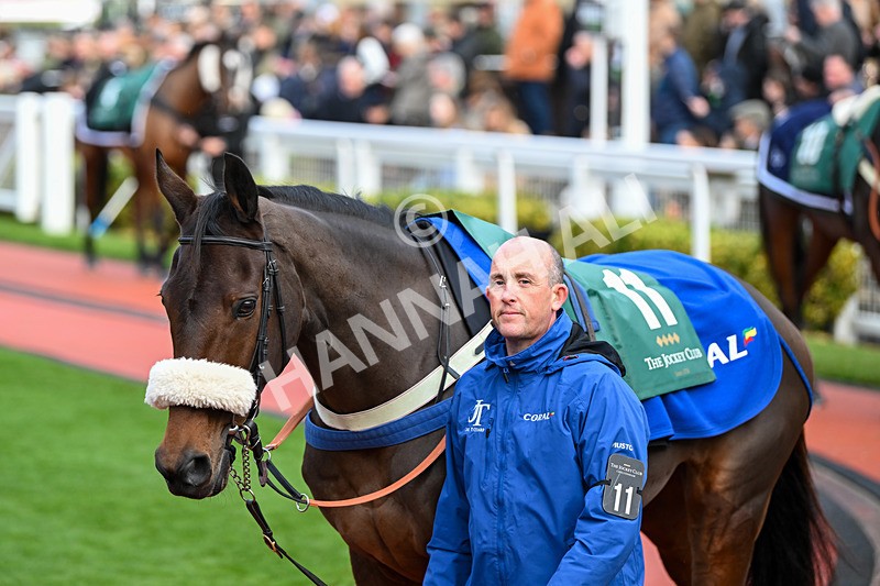 171124-Race 4-Paddock-Rose Of Arcadia-3355 - Race 4