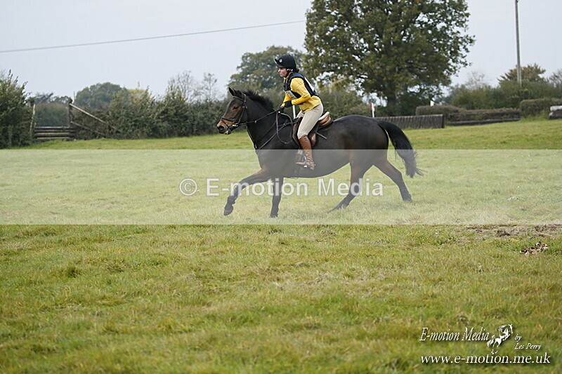 WWHT 181020 WWHT 181020 622 - WWEC Open Novice (0.80m) 18/10/20